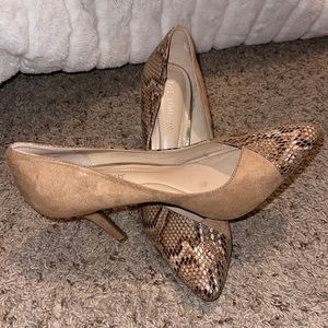 The Limited snake skin shoes